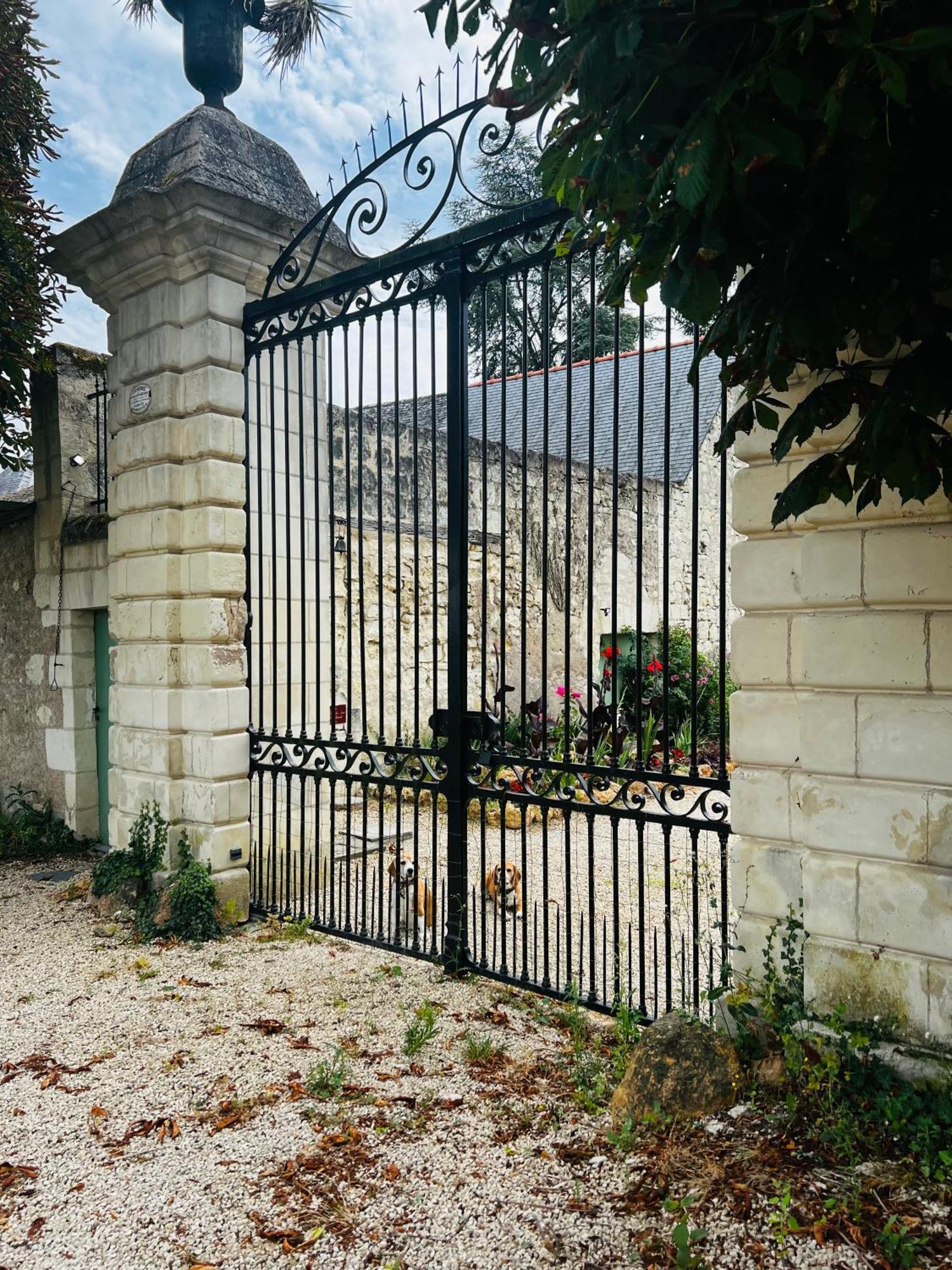 Chateau De La Thibaudiere Bois Savary - Chambre Familiale Du Roi Allonnes  Exteriér fotografie